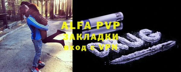 a pvp Бородино